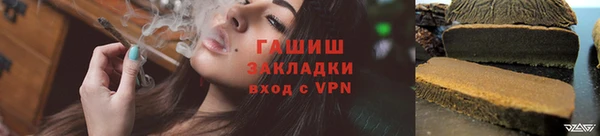 индика Всеволожск