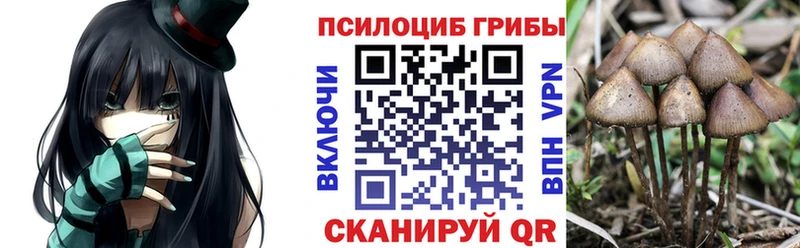 Галлюциногенные грибы GOLDEN TEACHER  даркнет сайт  Бобров 
